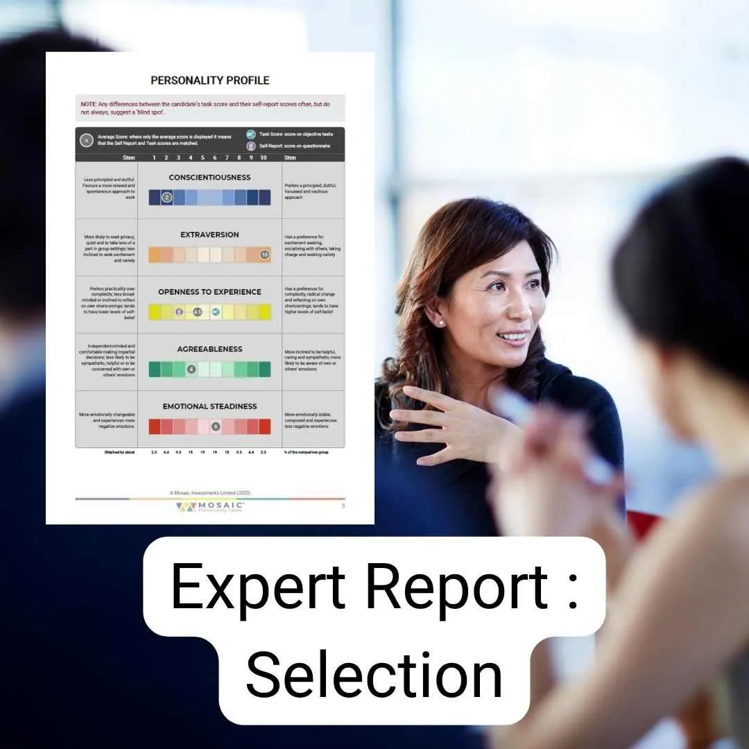 Mosaic Expert Report Selection & Candidate Feedback