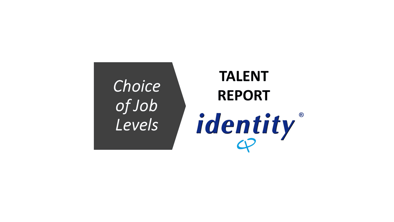 Identity® Personality Questionnair Talent Report N
