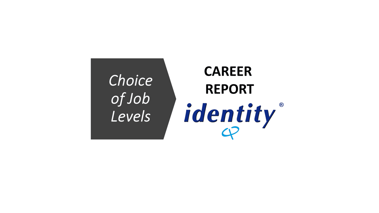 Identity® Personality Questionnaire Career Report