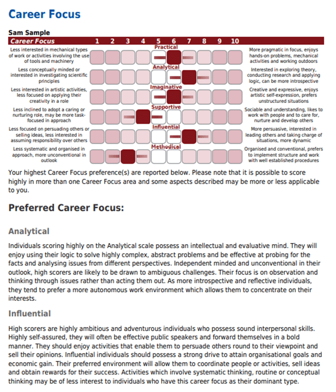 Career Focus Example Section