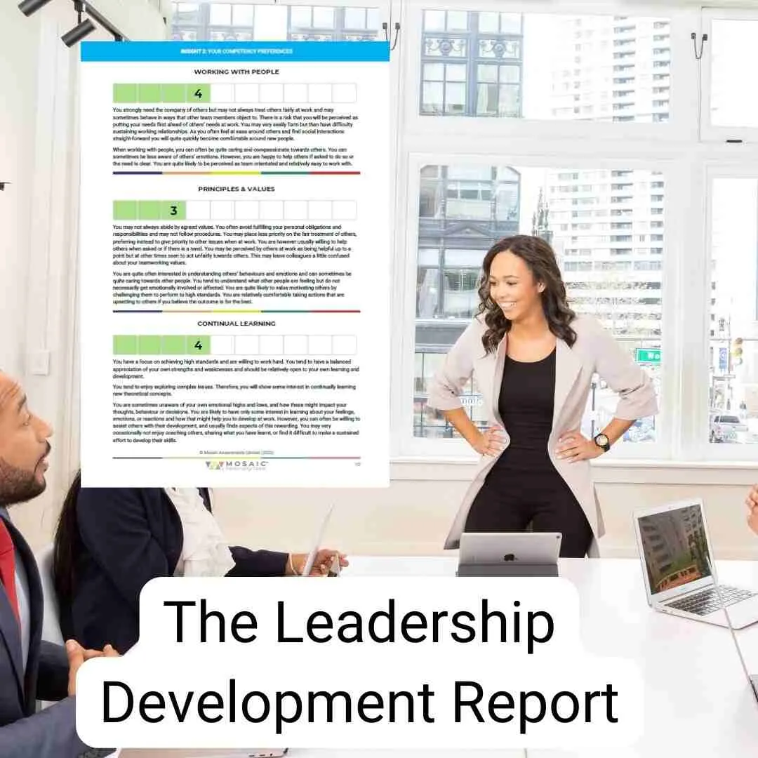 Mosaic Leadership Development Report Sample