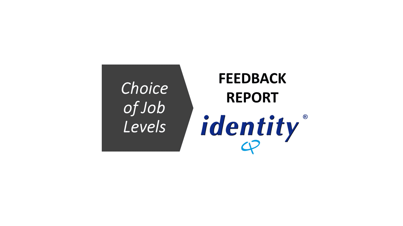 Identity® Personality Questionnaire Feedback Report N