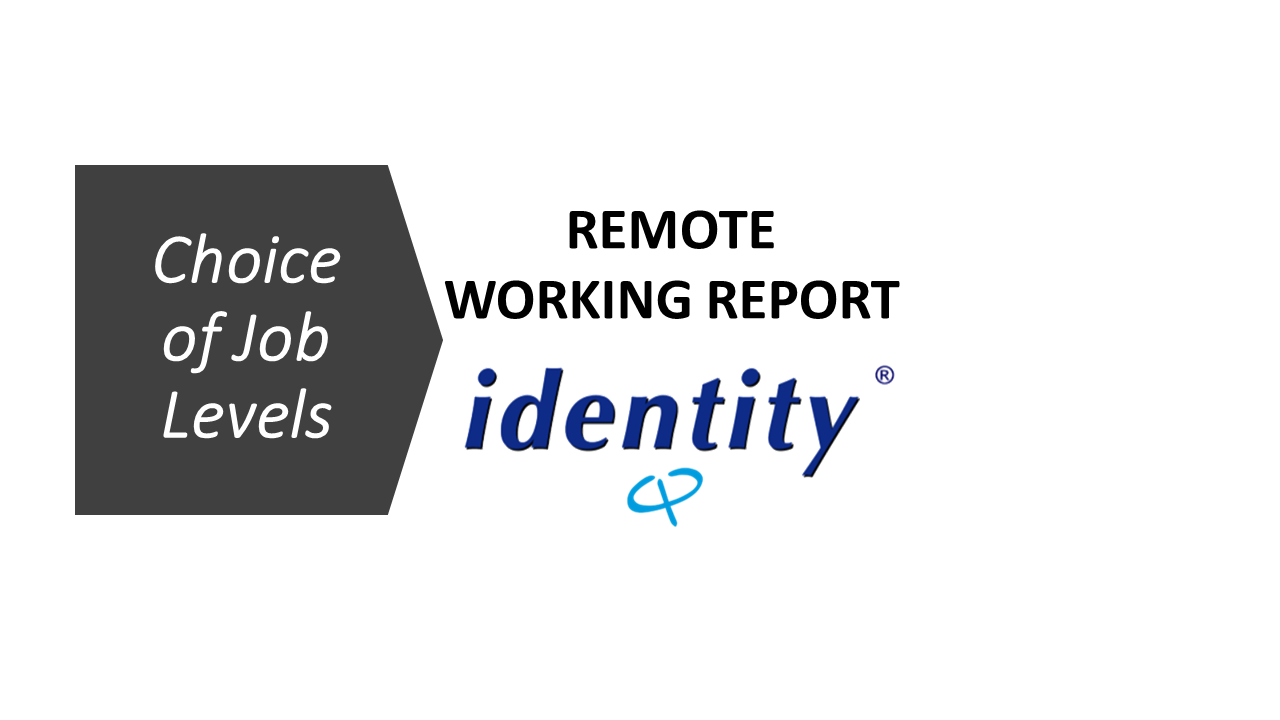 Identity® Personality Questionnaire Remote Working Report