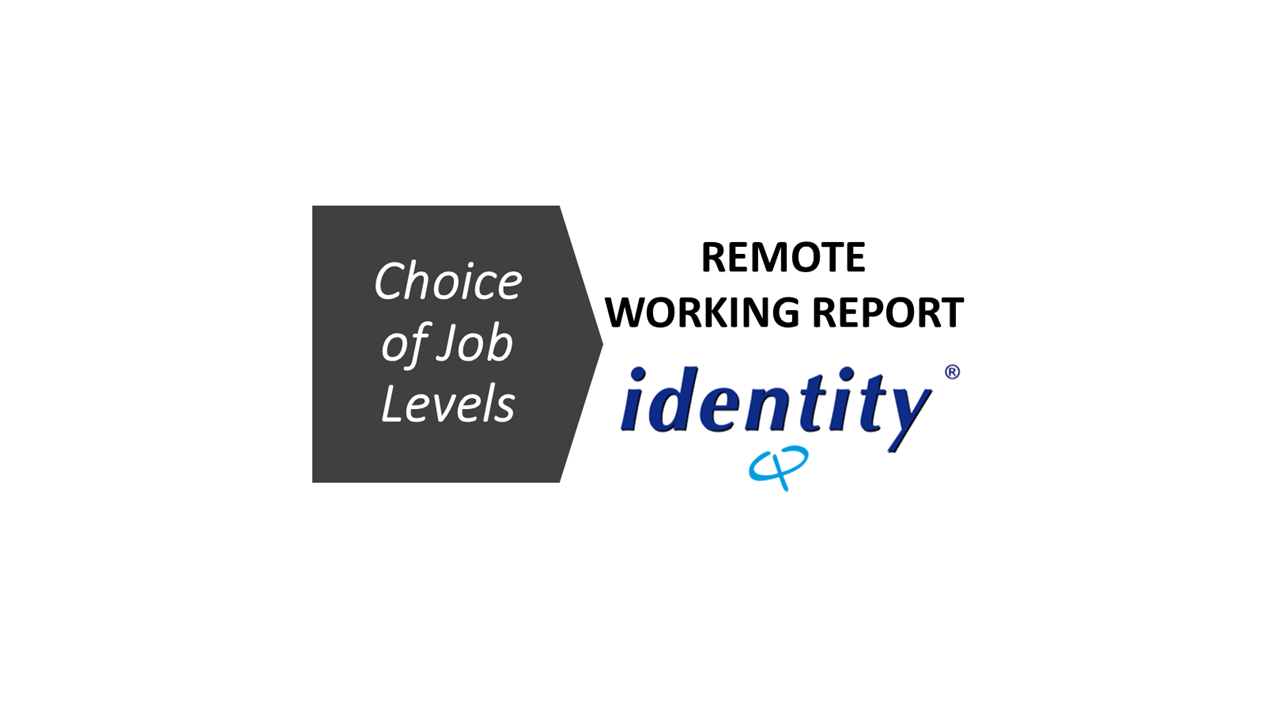 Identity® Personality Questionnaire Remote Working Report Report