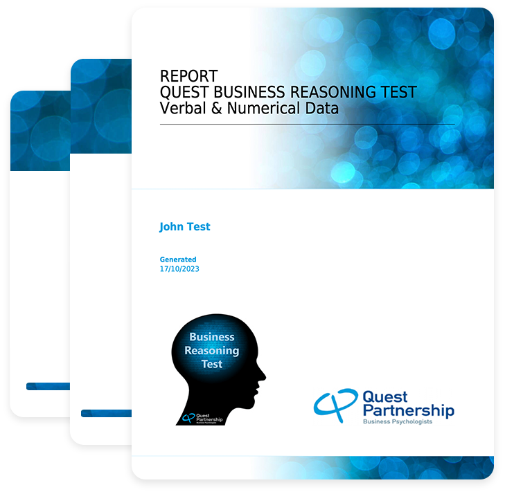 Business Reasoning Test Report via Talent Assessment Platform