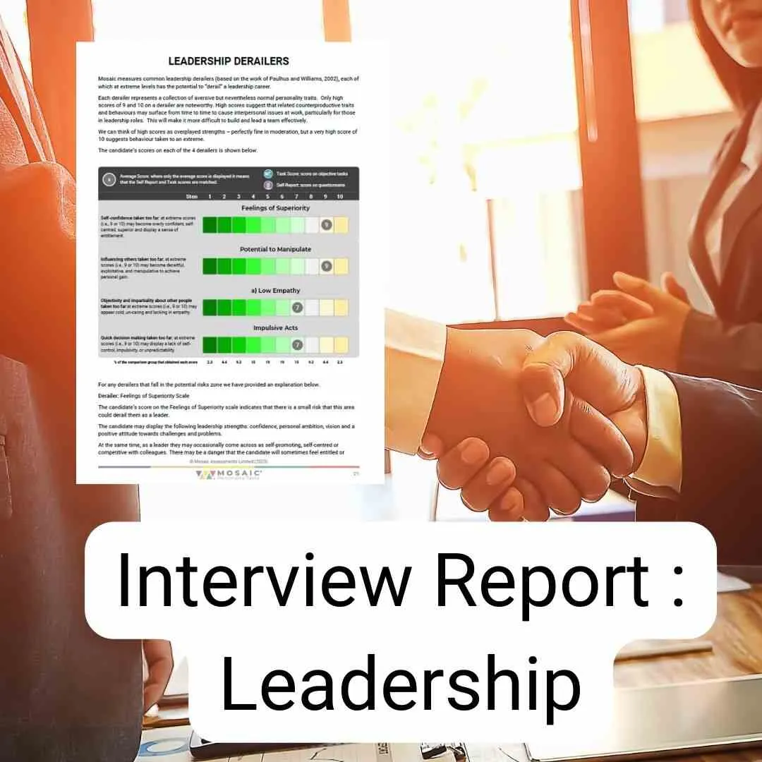 Mosaic Interview Report Leadership